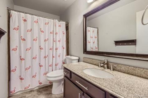 16081 Bluebonnet Drive Parker CO 80134