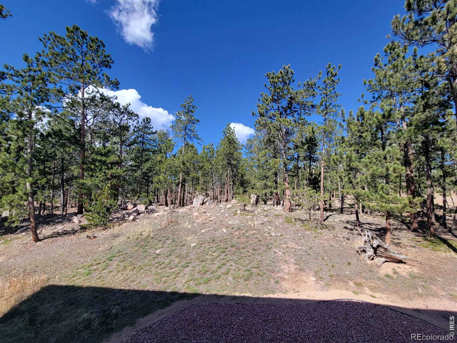2225 N County Road 73c Red Feather Lakes CO 80545