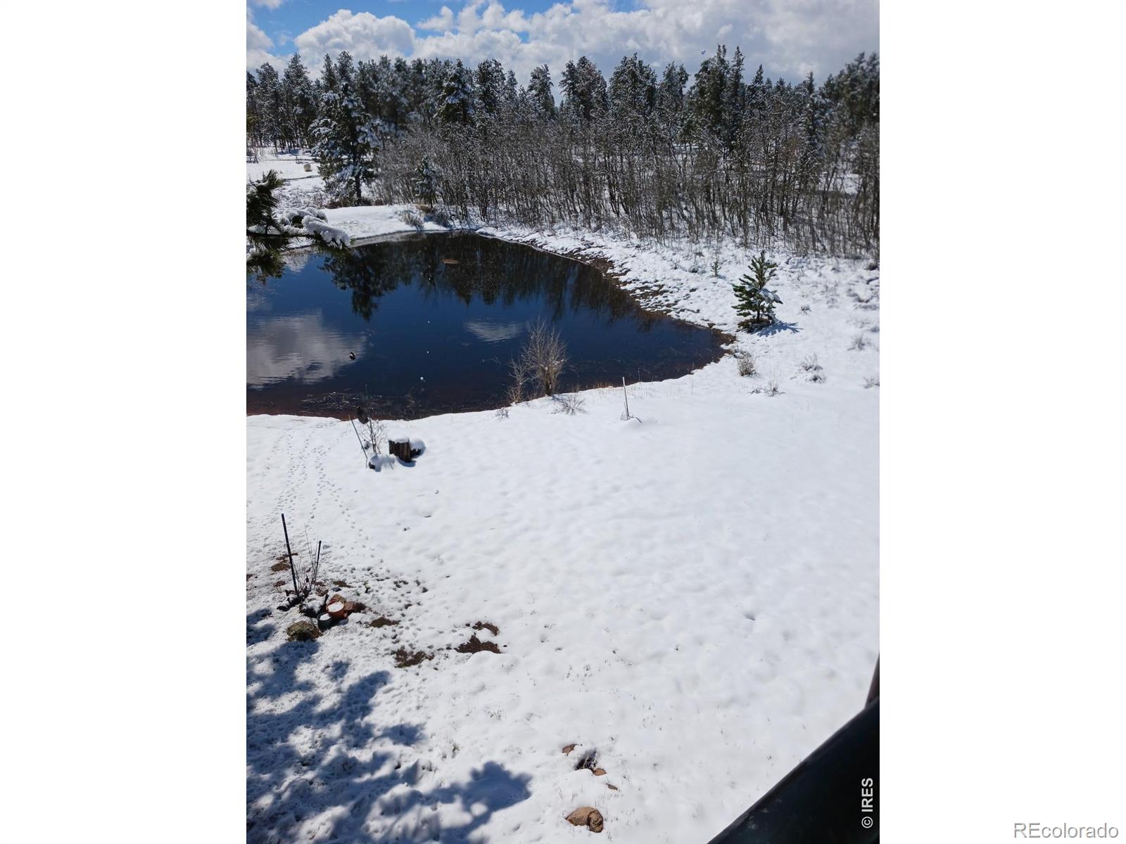 2225 N County Road 73c Red Feather Lakes CO 80545
