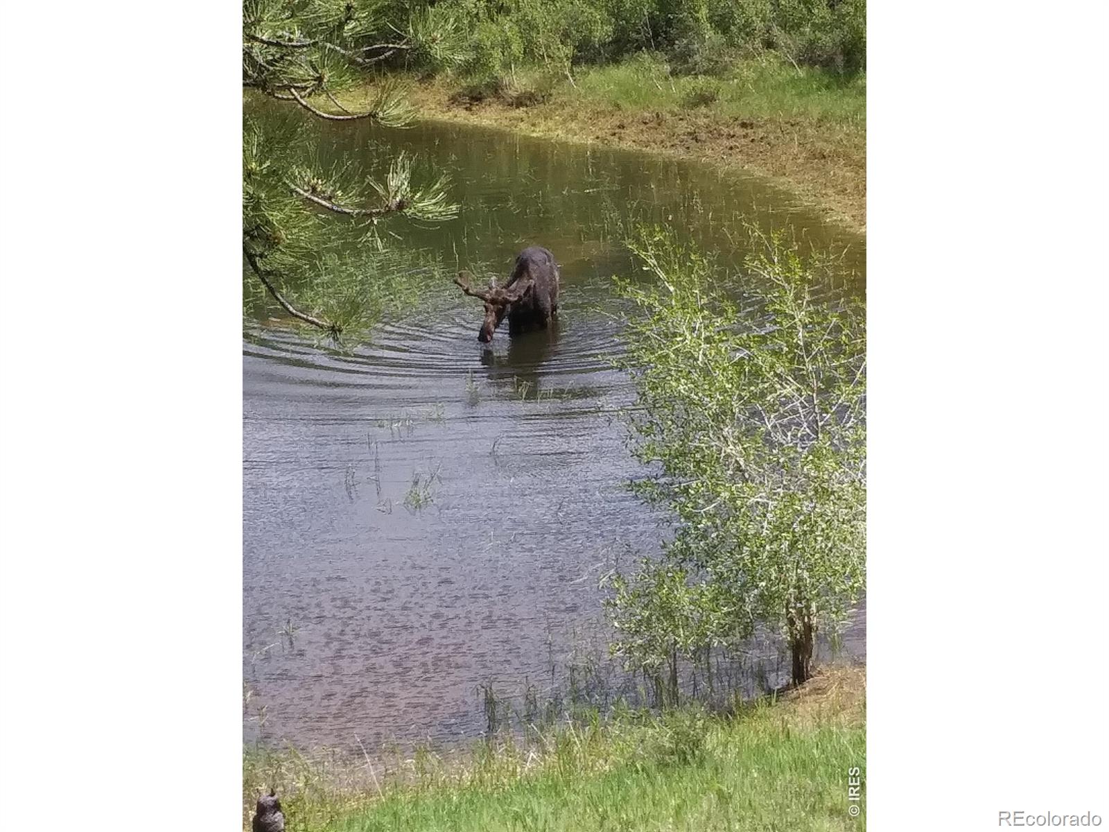 2225 N County Road 73c Red Feather Lakes CO 80545