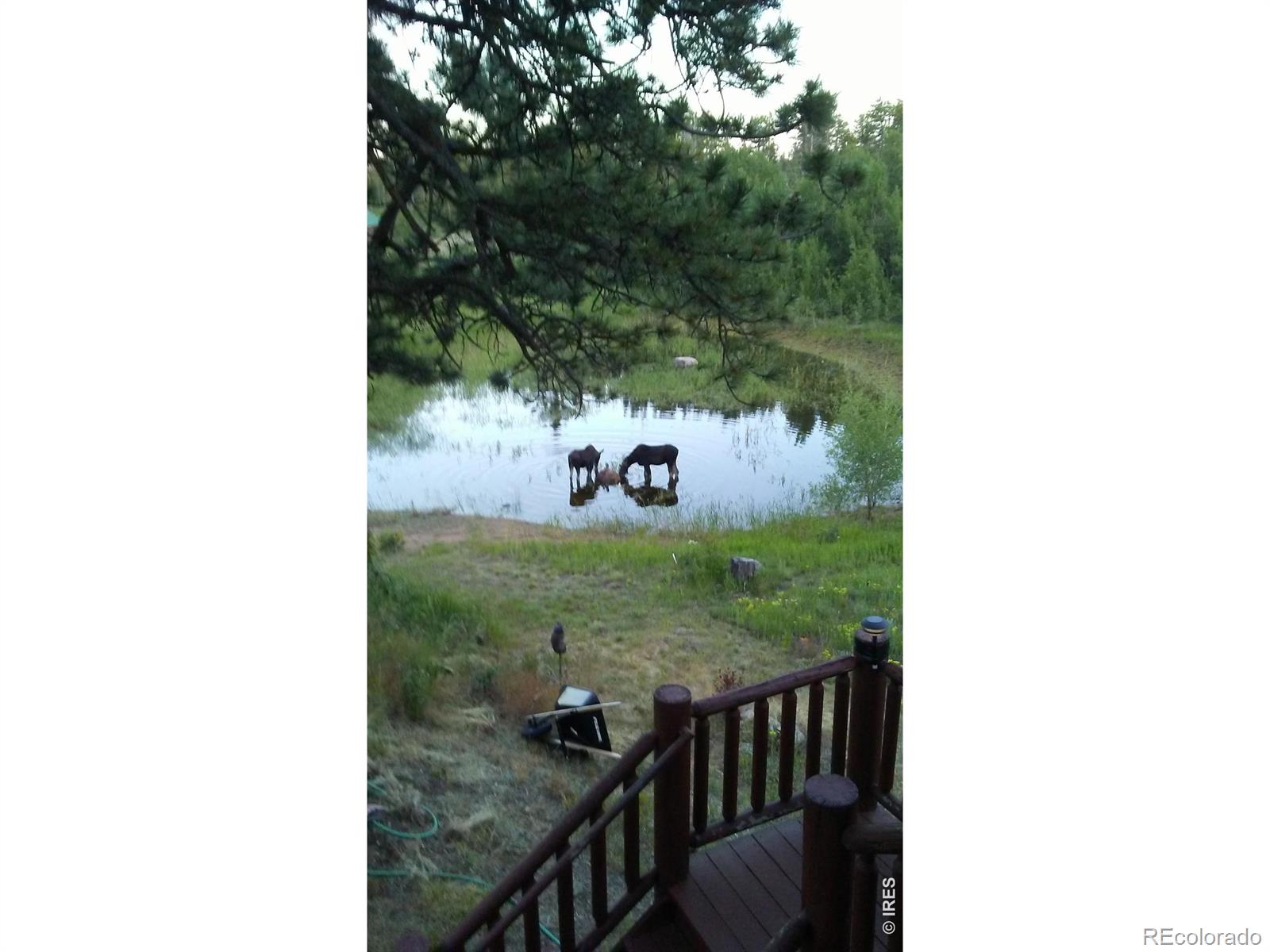 2225 N County Road 73c Red Feather Lakes CO 80545