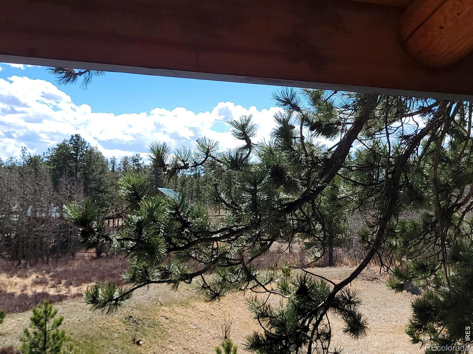 2225 N County Road 73c Red Feather Lakes CO 80545
