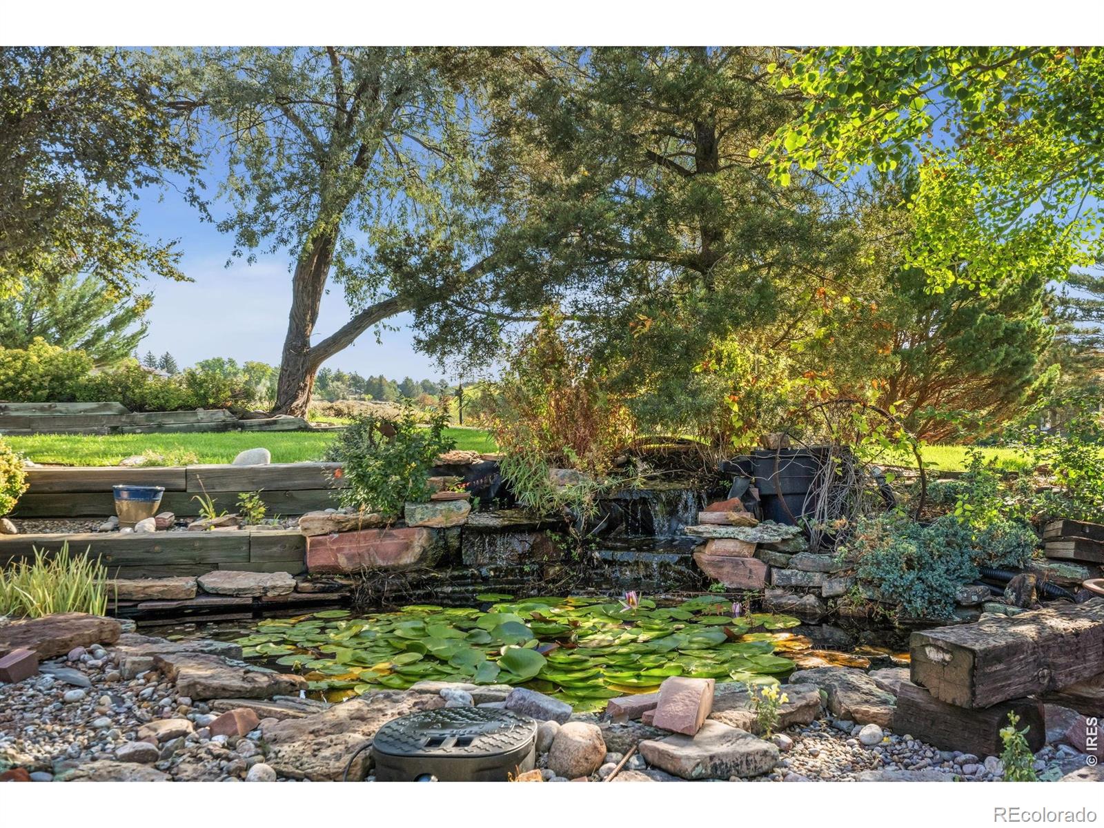 2909 Pronghorn Court Loveland CO 80537