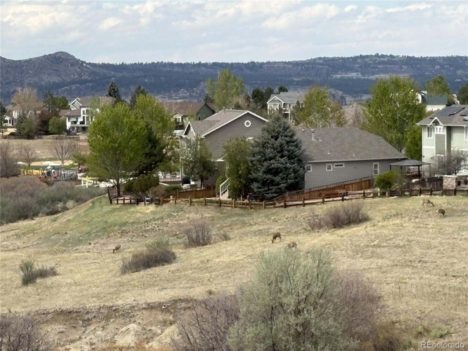 2372 Woodhouse Lane Castle Rock CO 80109