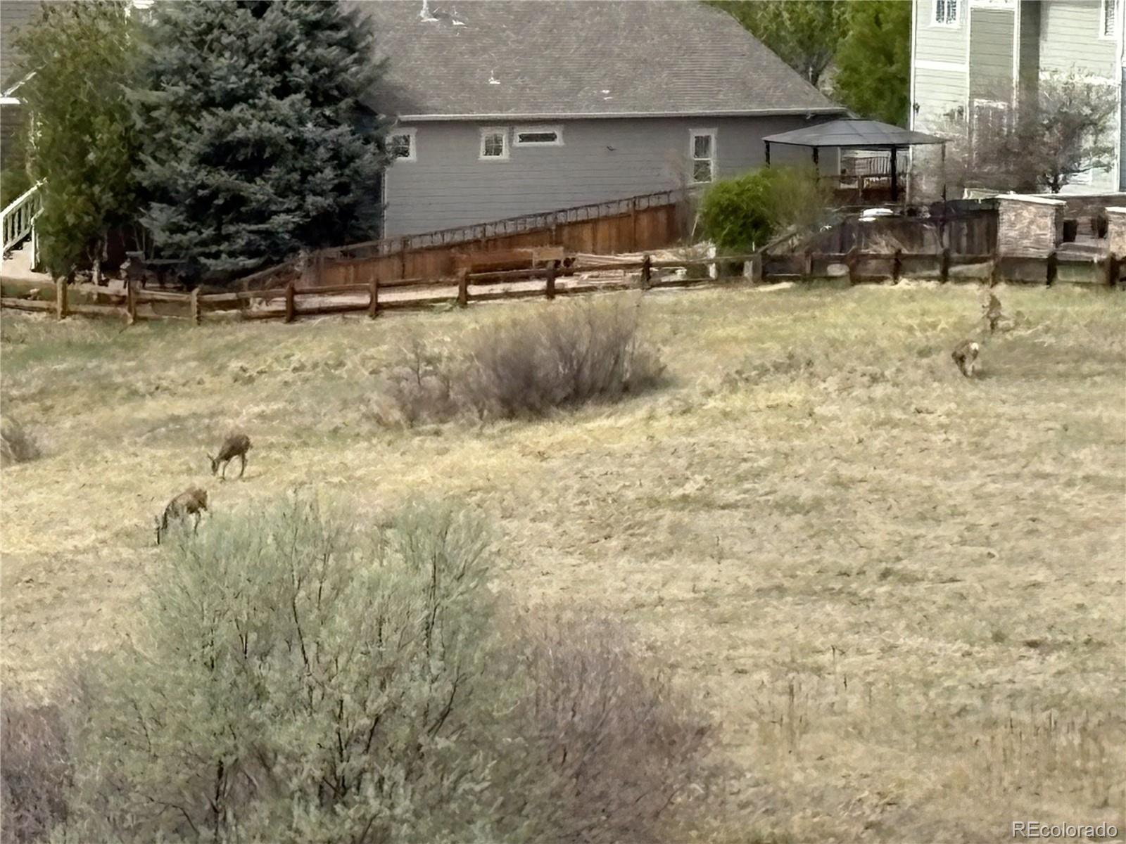 2372 Woodhouse Lane Castle Rock CO 80109