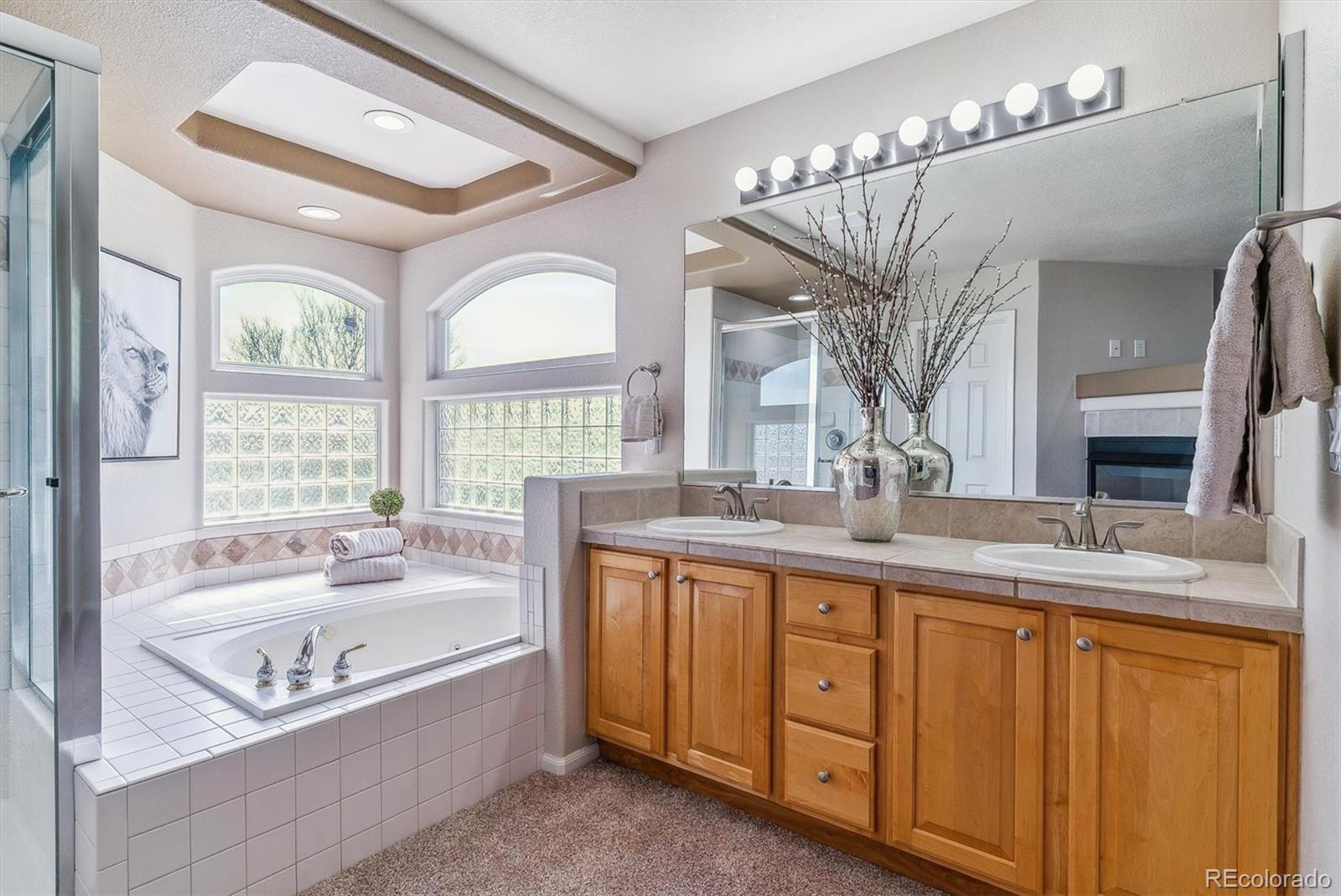 9109 Ironwood Way Highlands Ranch CO 80129