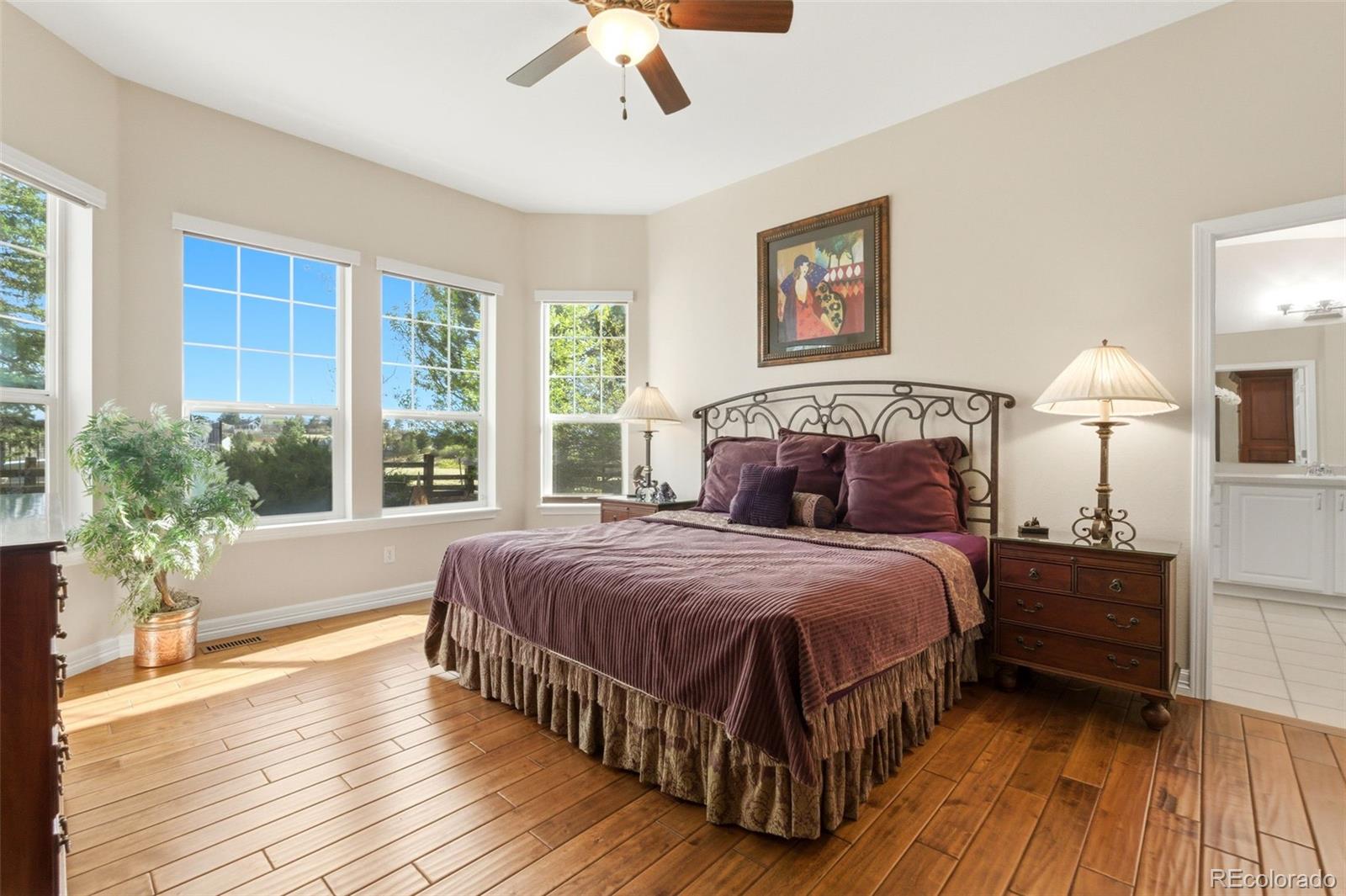 2982 Cliff View Court Castle Rock CO 80104