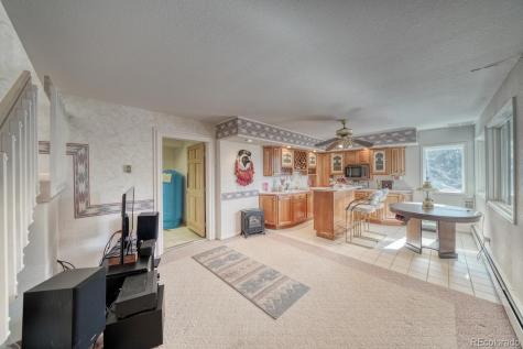 165 Reva Ridge Road Twin Lakes CO 81251