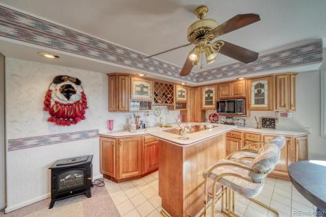 165 Reva Ridge Road Twin Lakes CO 81251