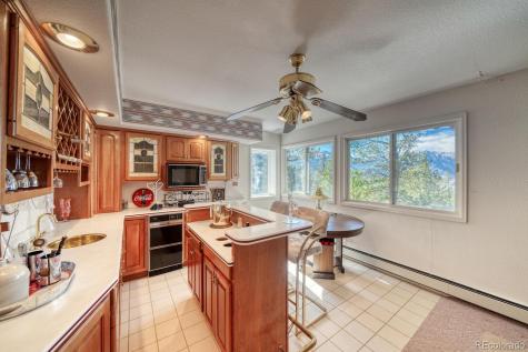 165 Reva Ridge Road Twin Lakes CO 81251