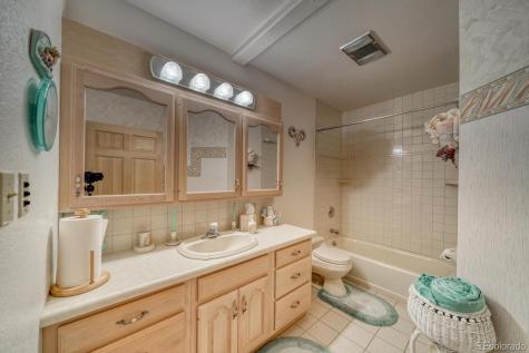 165 Reva Ridge Road Twin Lakes CO 81251