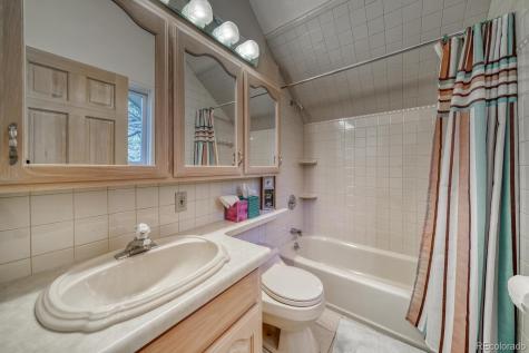 165 Reva Ridge Road Twin Lakes CO 81251