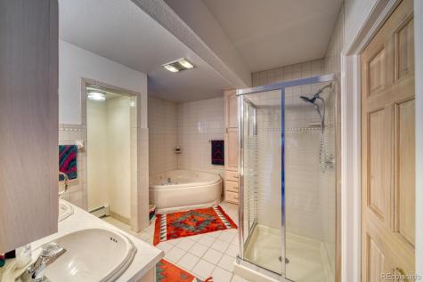 165 Reva Ridge Road Twin Lakes CO 81251