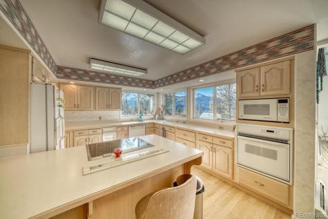 165 Reva Ridge Road Twin Lakes CO 81251
