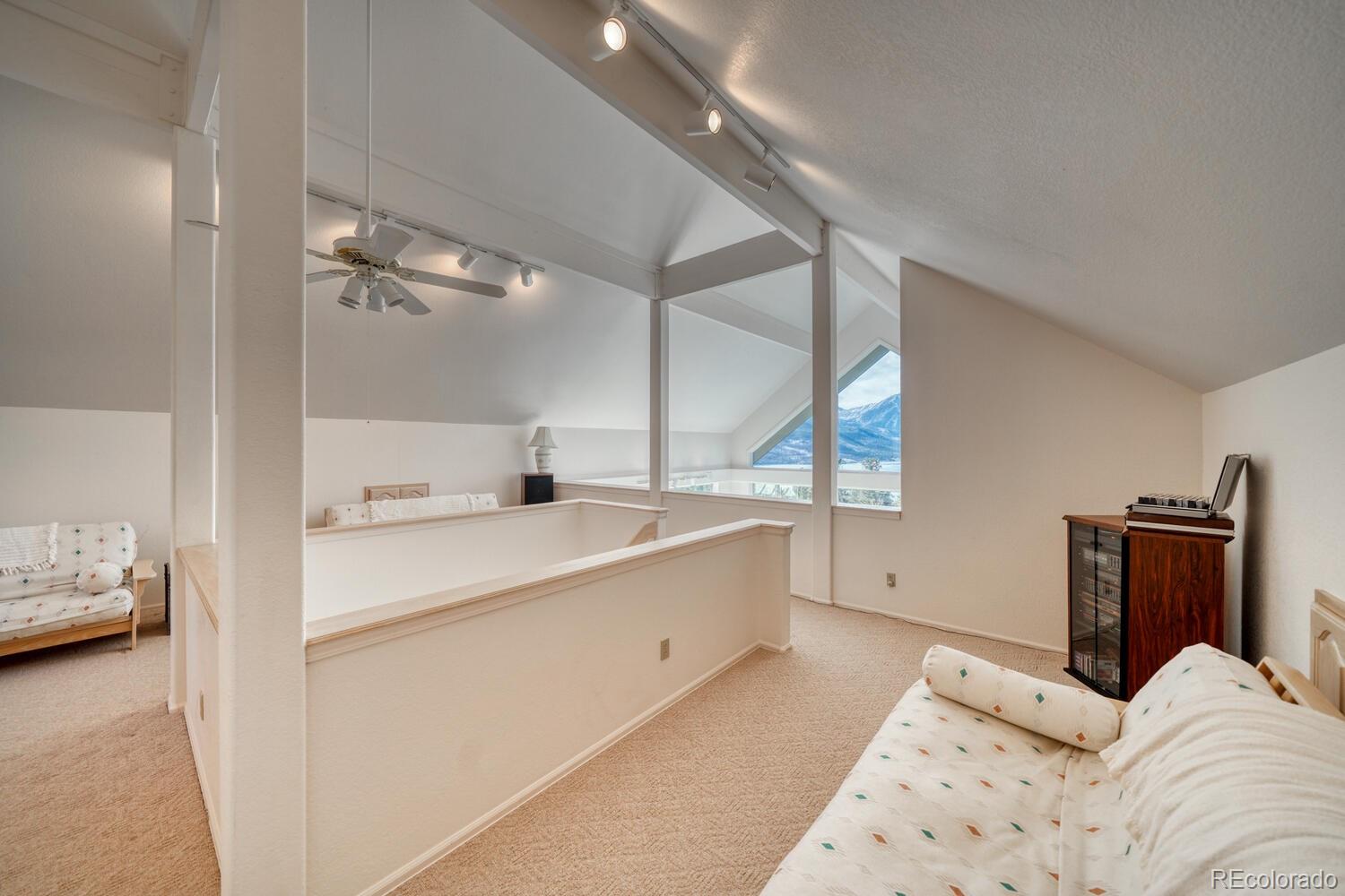 165 Reva Ridge Road Twin Lakes CO 81251