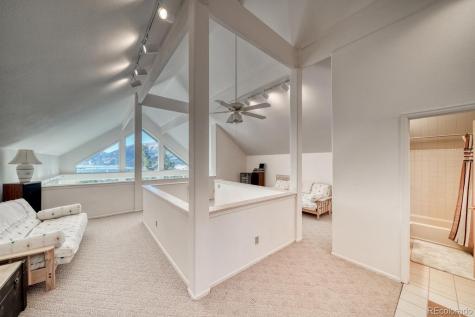 165 Reva Ridge Road Twin Lakes CO 81251