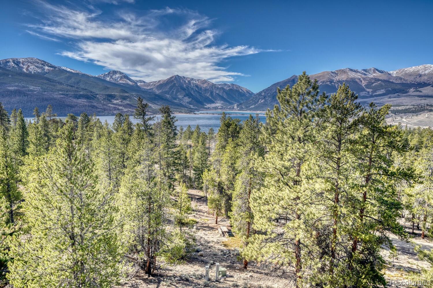 165 Reva Ridge Road Twin Lakes CO 81251
