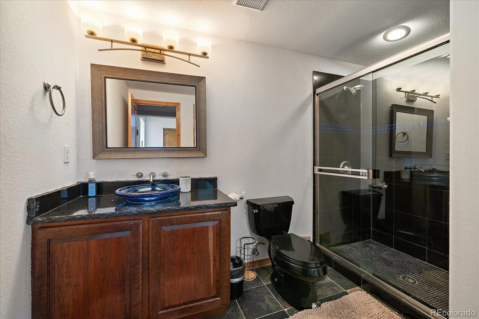 22455 Laurel Oak Drive Parker CO 80138