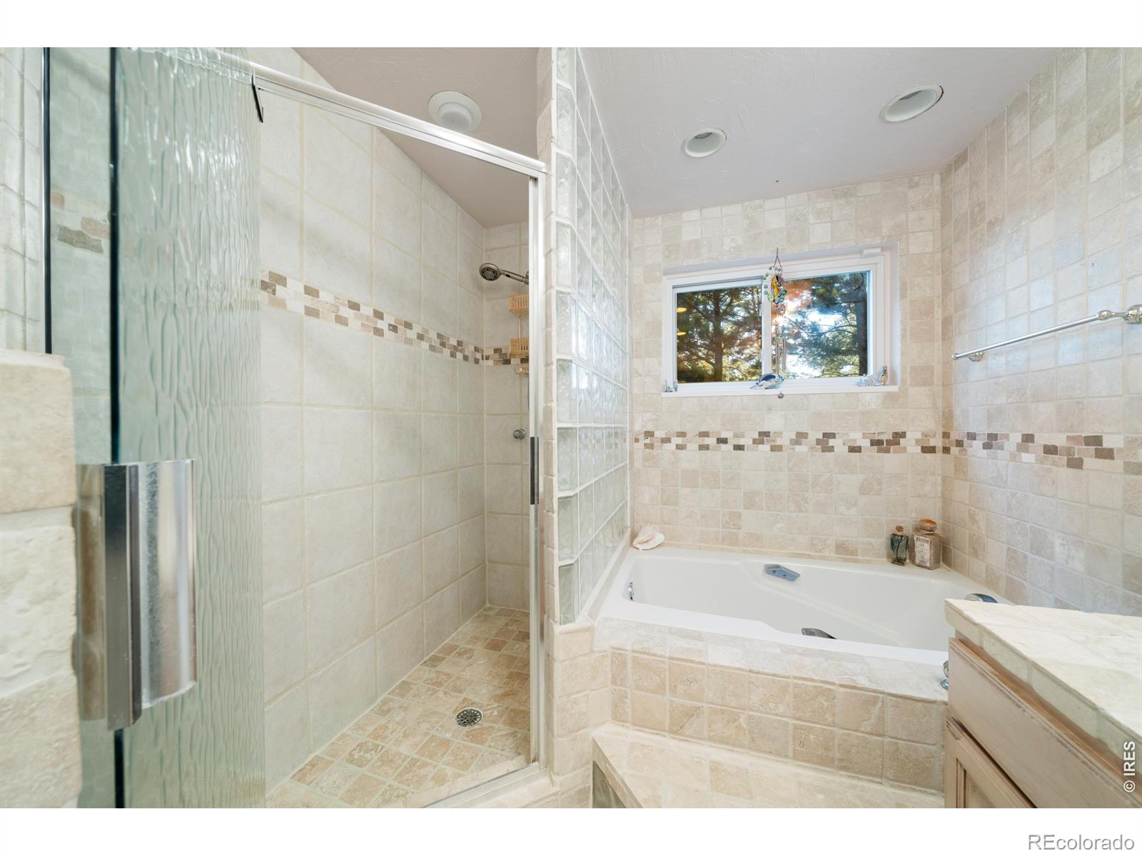 10691 Tomichi Drive Franktown CO 80116