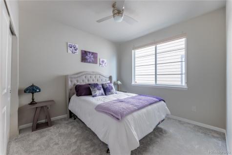 3280 Youngheart Way Castle Rock CO 80109