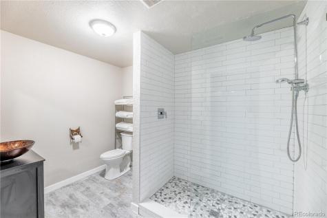 3280 Youngheart Way Castle Rock CO 80109