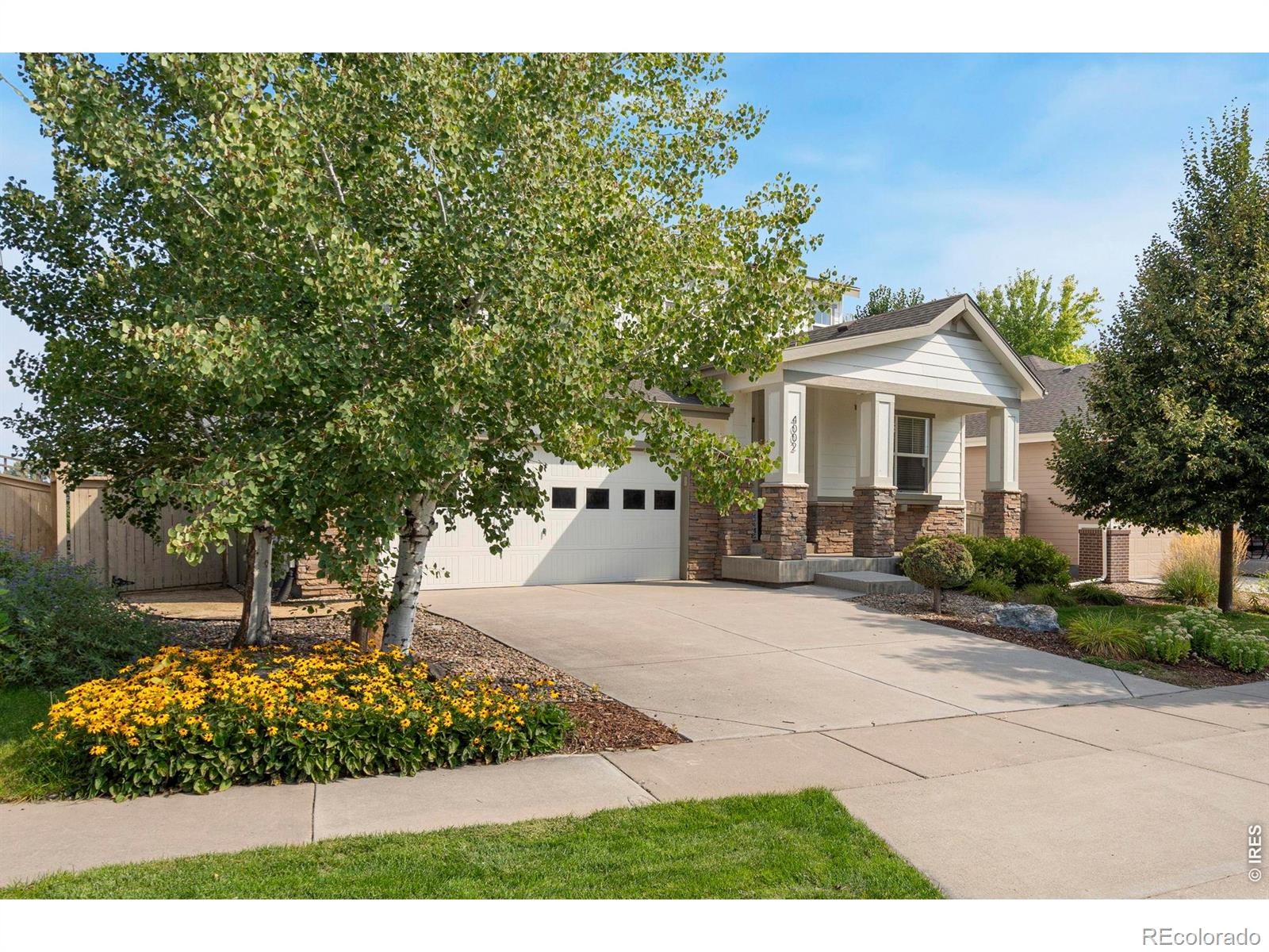 4002 Wild Elm Way Fort Collins CO 80528