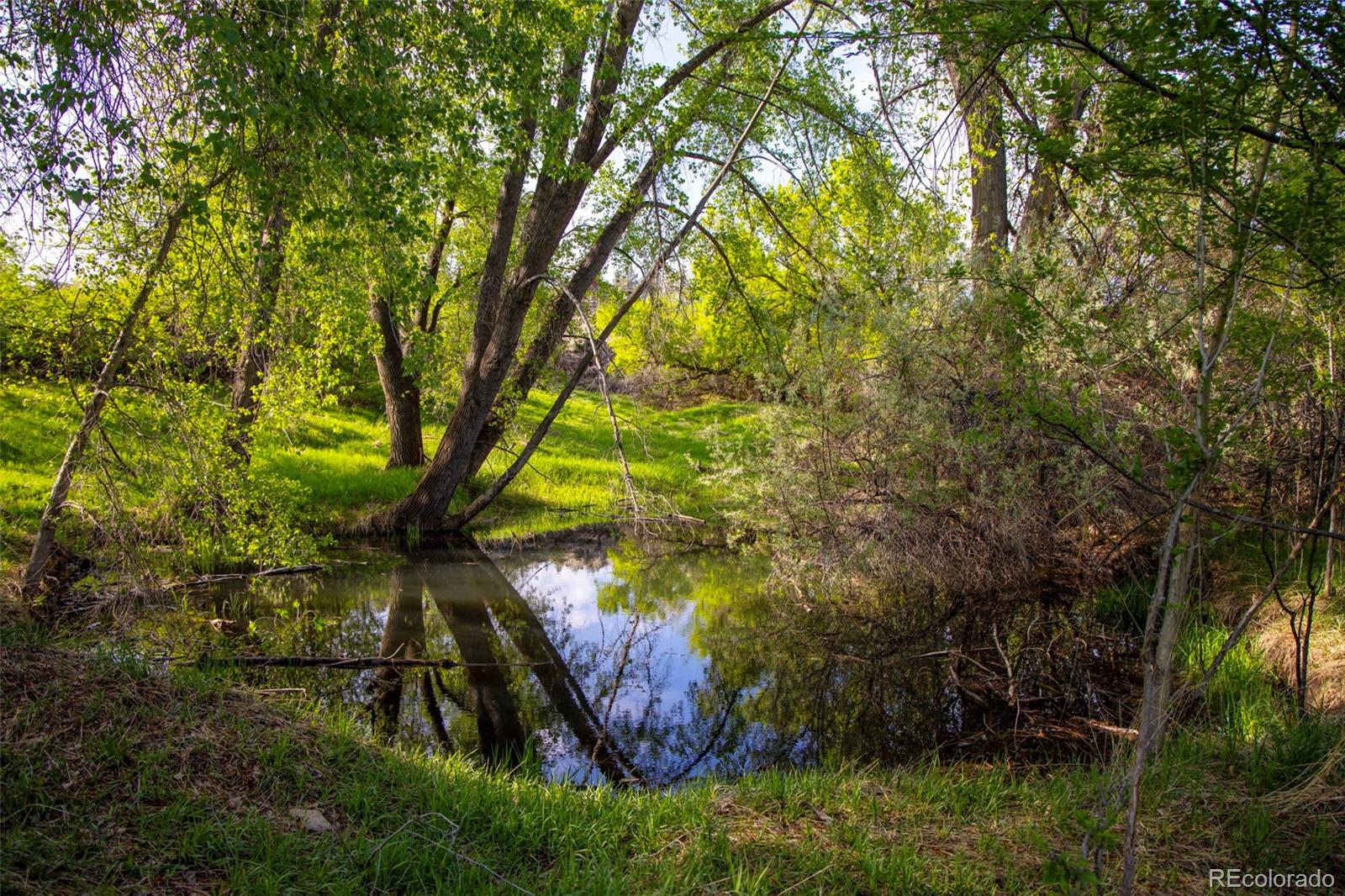 7157 W Highway 34 Loveland CO 80537