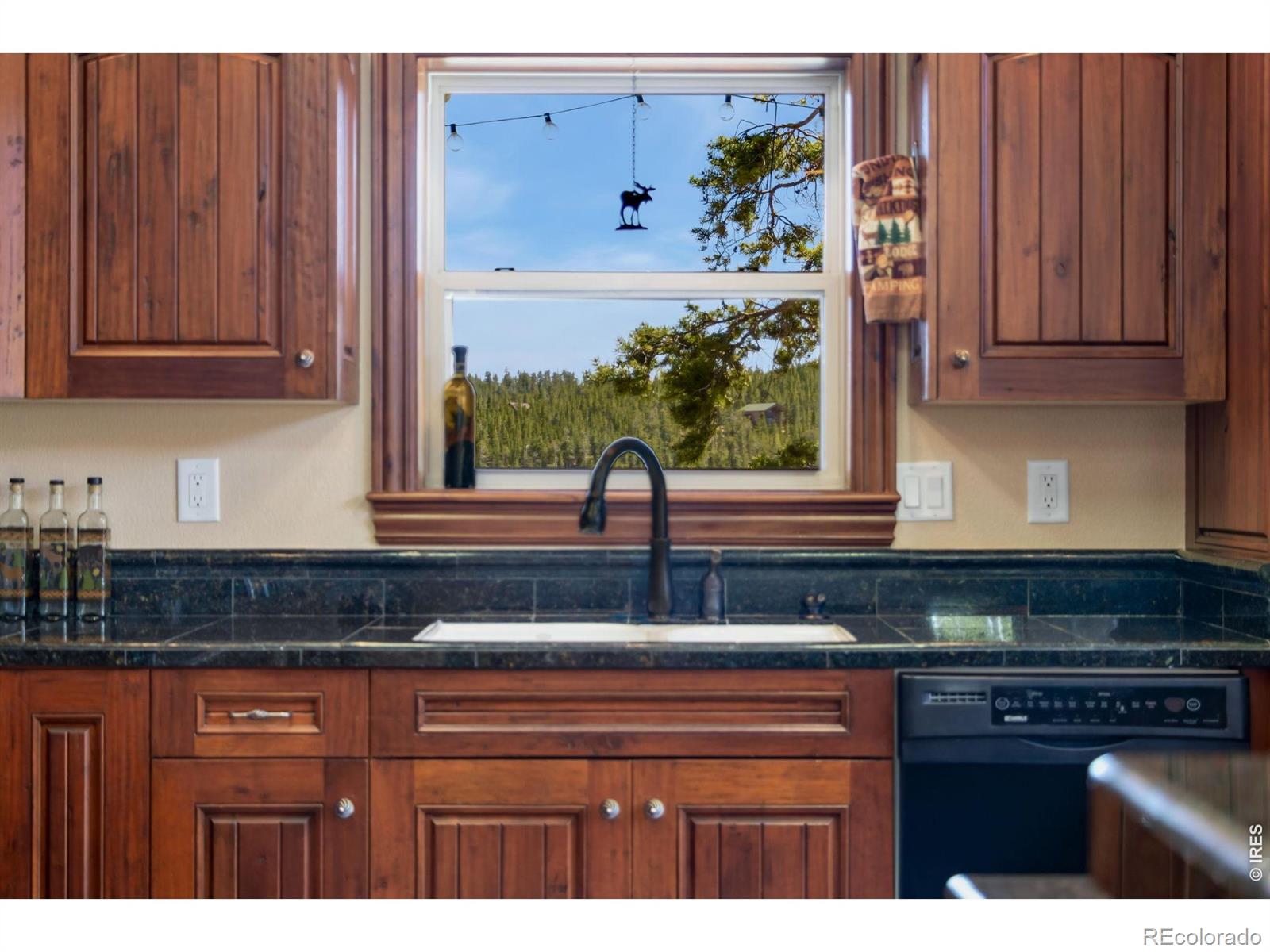 44 Miwok Court Red Feather Lakes CO 80545