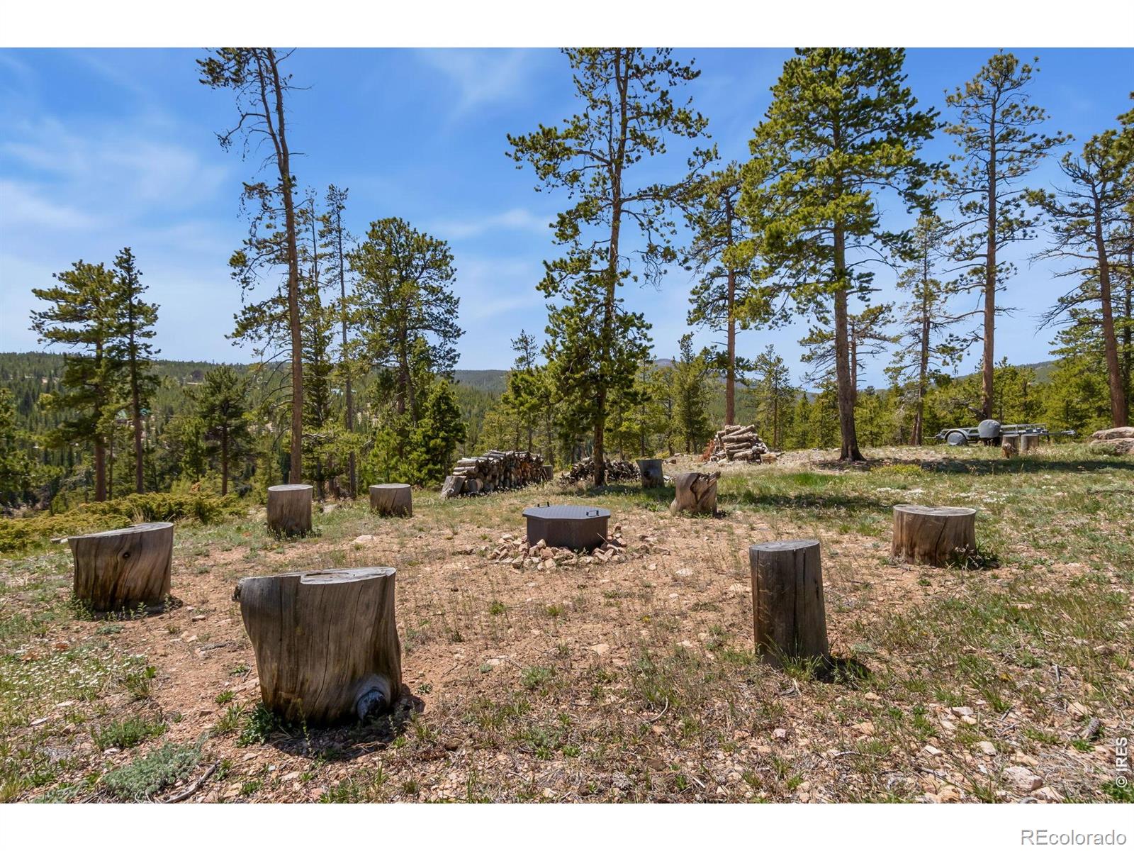 44 Miwok Court Red Feather Lakes CO 80545