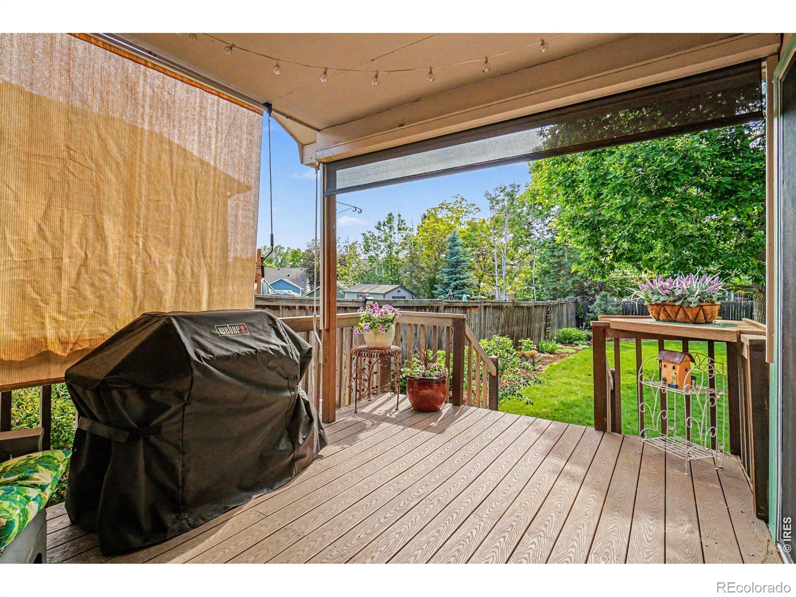3847 Cardiff Court Loveland CO 80538