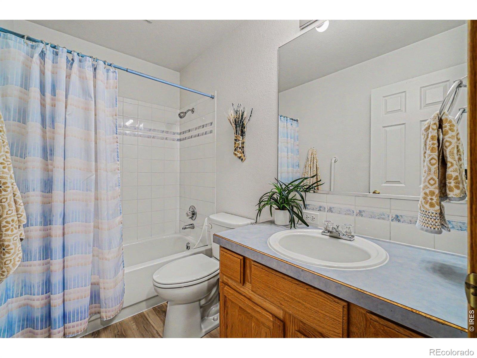 3847 Cardiff Court Loveland CO 80538