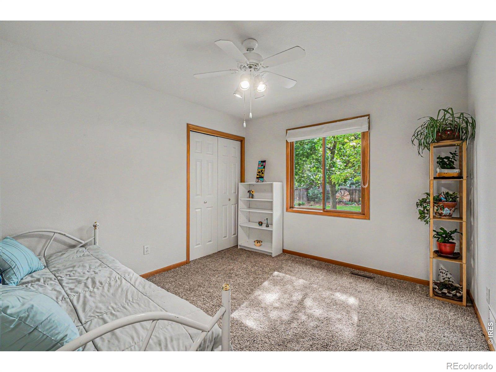 3847 Cardiff Court Loveland CO 80538