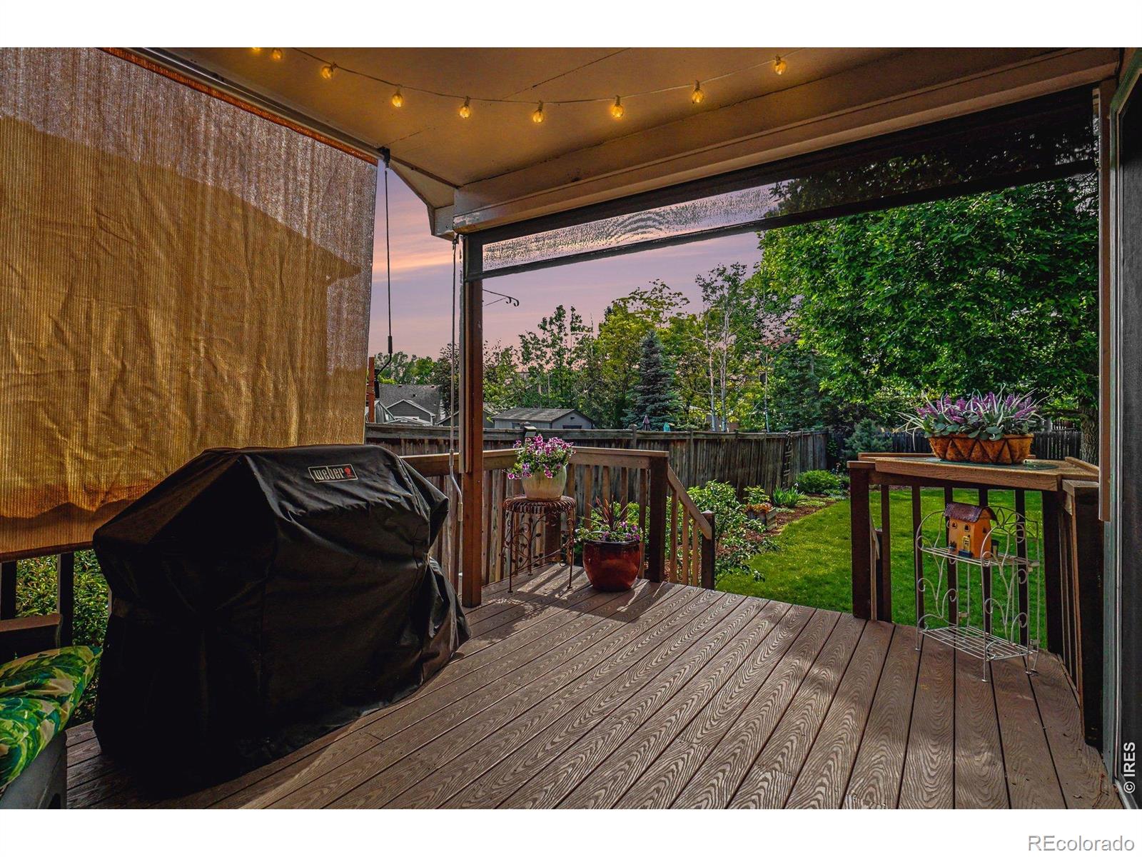 3847 Cardiff Court Loveland CO 80538