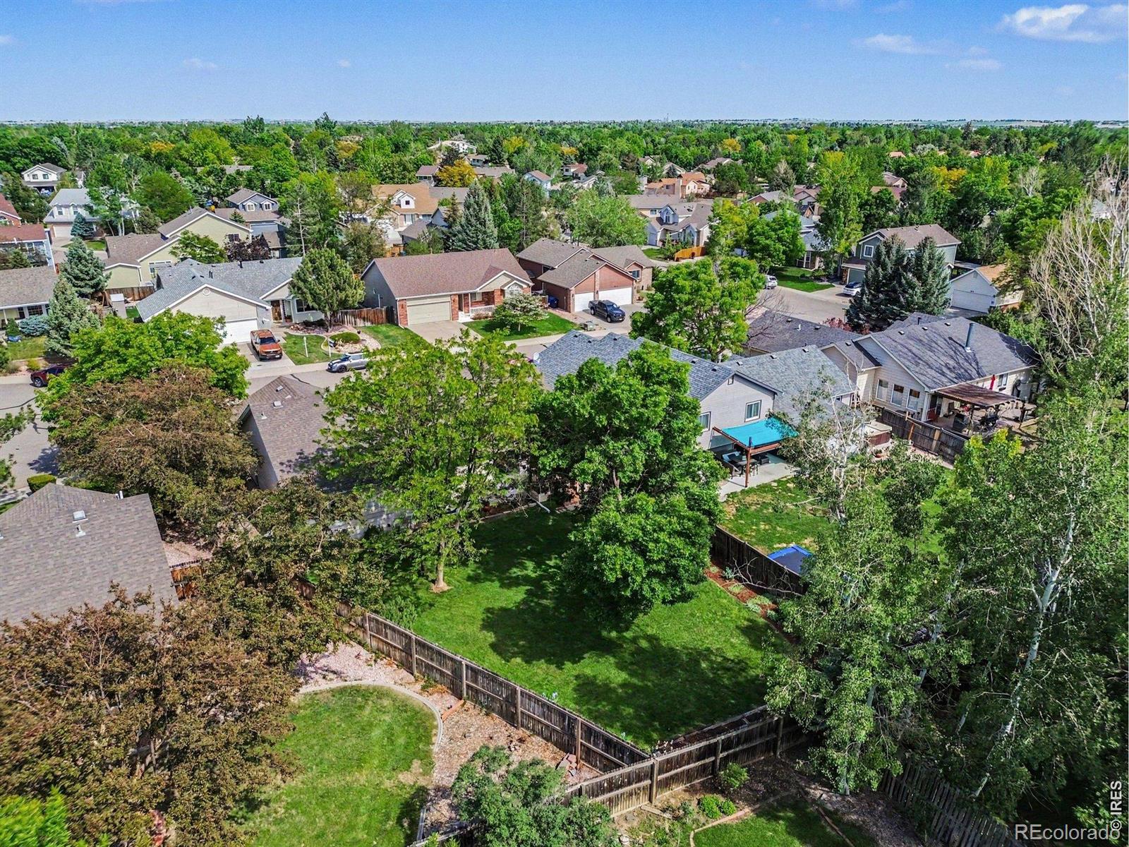 3847 Cardiff Court Loveland CO 80538