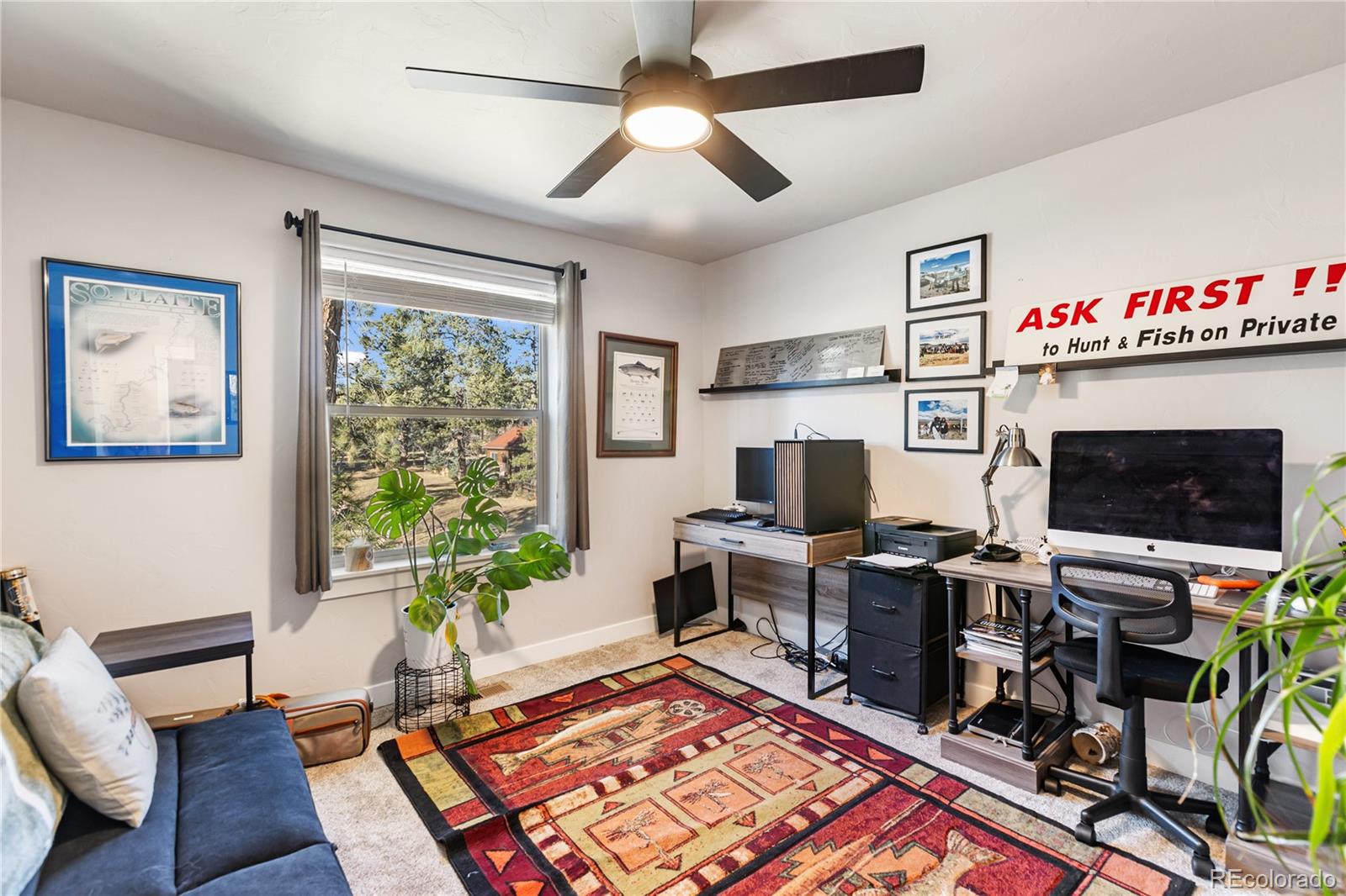 118 E Chester Avenue Woodland Park CO 80863