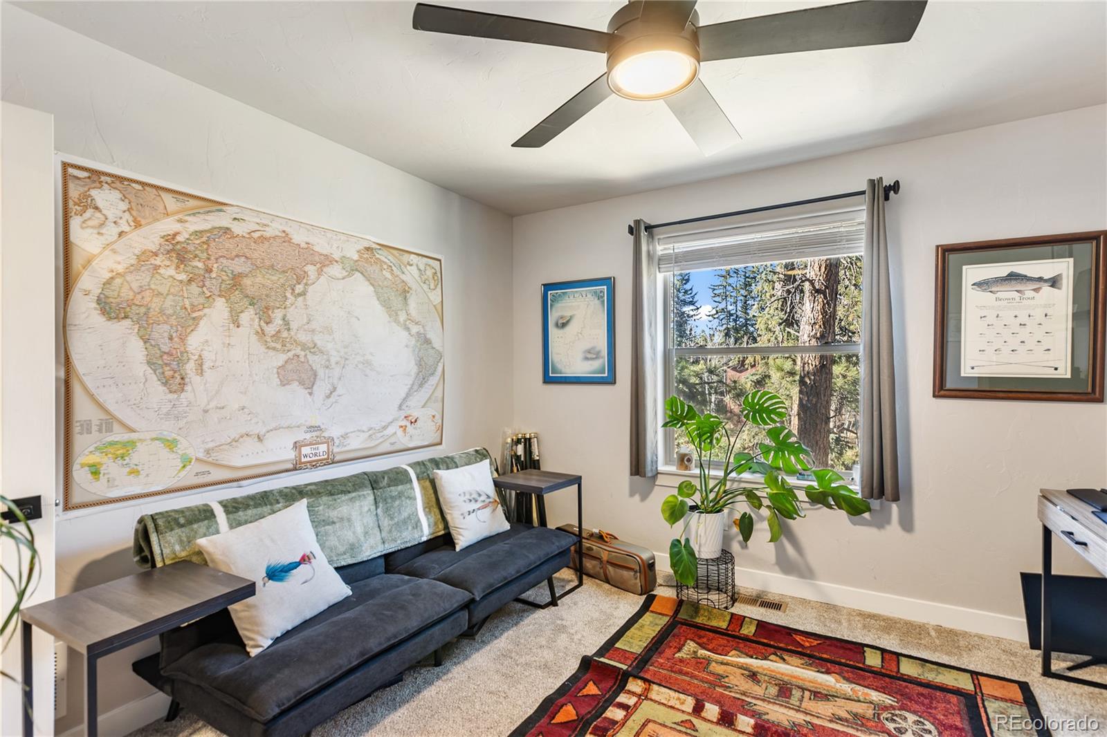 118 E Chester Avenue Woodland Park CO 80863