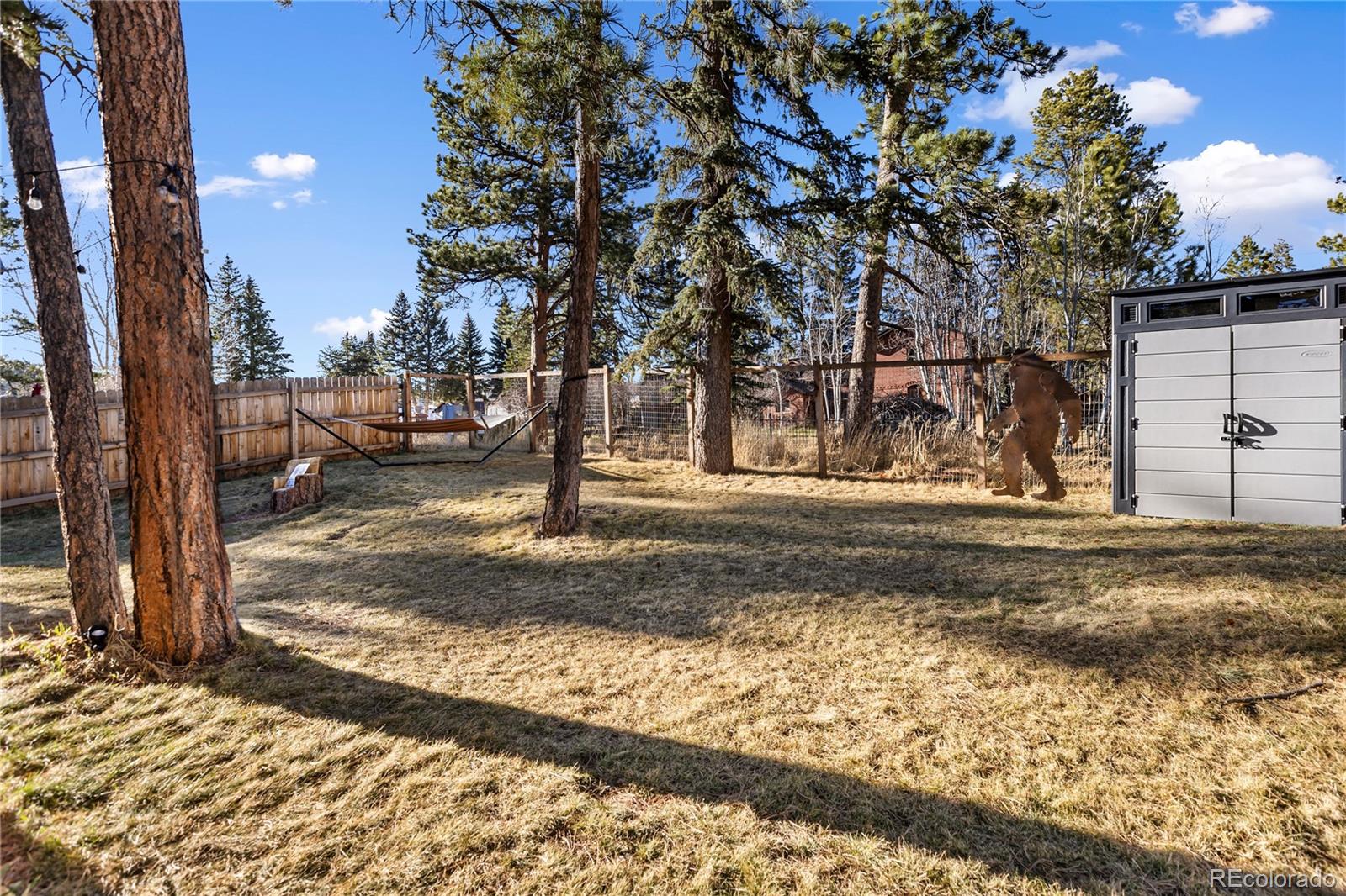 118 E Chester Avenue Woodland Park CO 80863