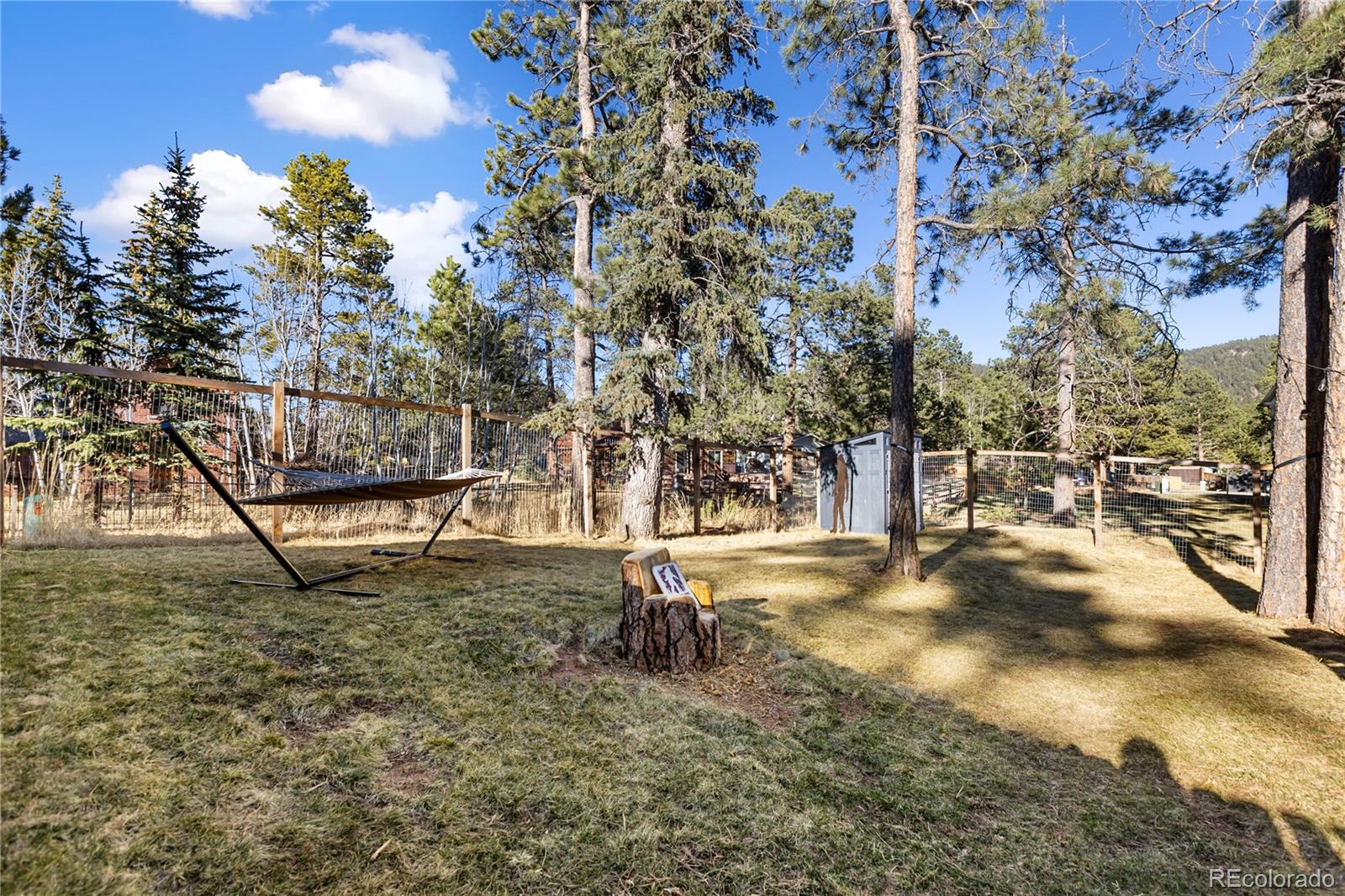 118 E Chester Avenue Woodland Park CO 80863