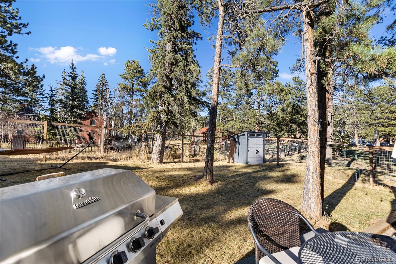 118 E Chester Avenue Woodland Park CO 80863
