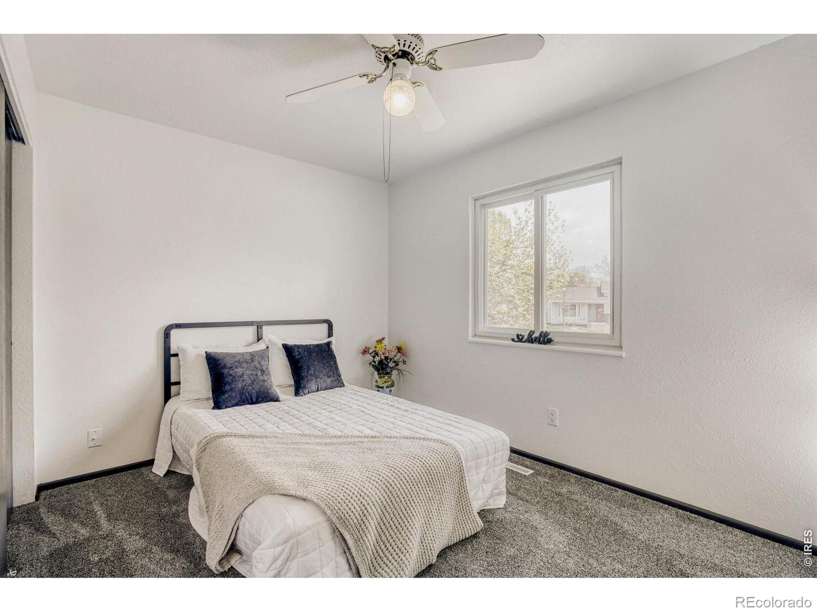 3513 Kingston Circle Fort Collins CO 80525