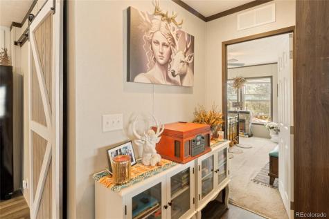 4247 Serene Way Crestone CO 81131