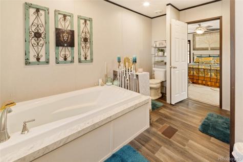 4247 Serene Way Crestone CO 81131
