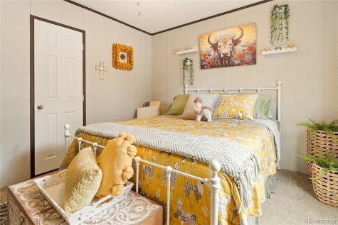 4247 Serene Way Crestone CO 81131