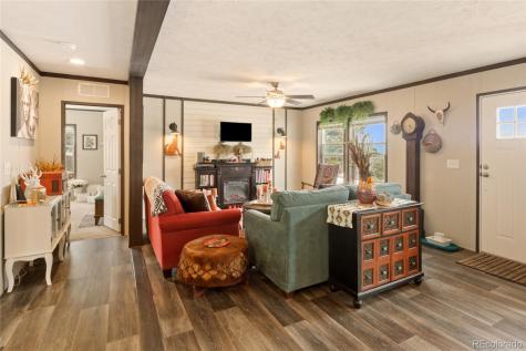 4247 Serene Way Crestone CO 81131