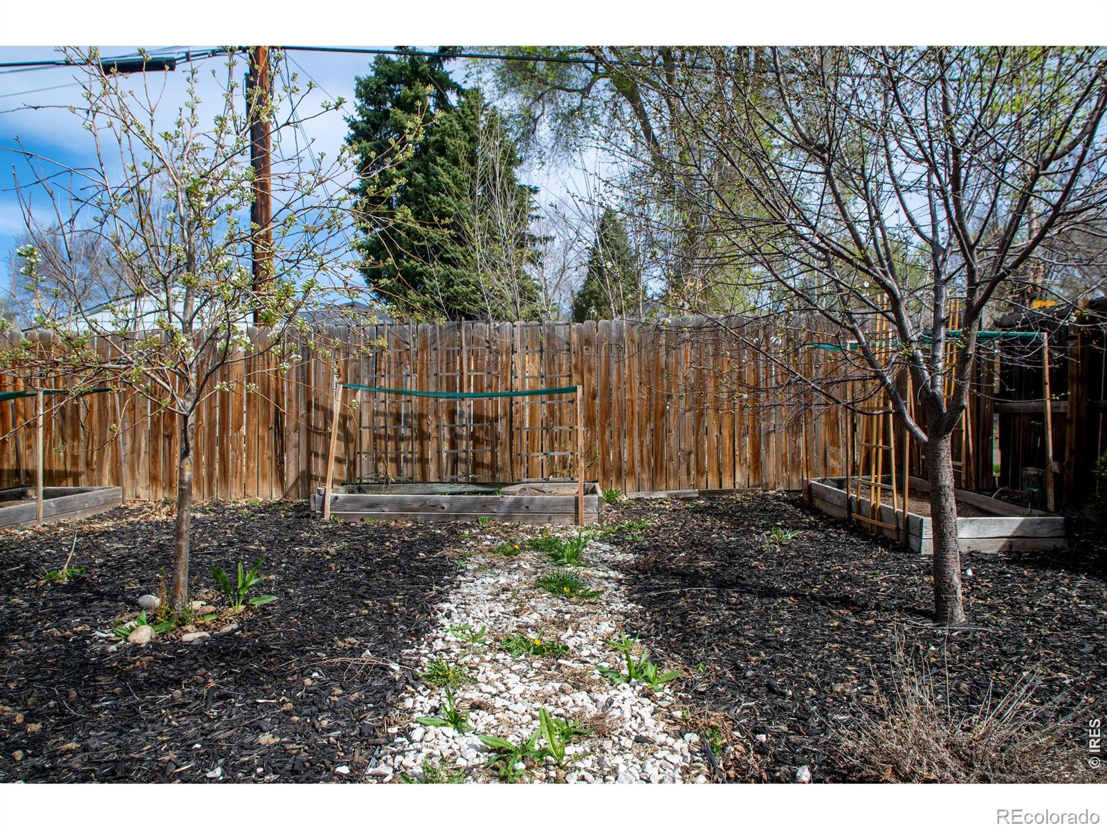 128 E 5th Avenue Longmont CO 80504