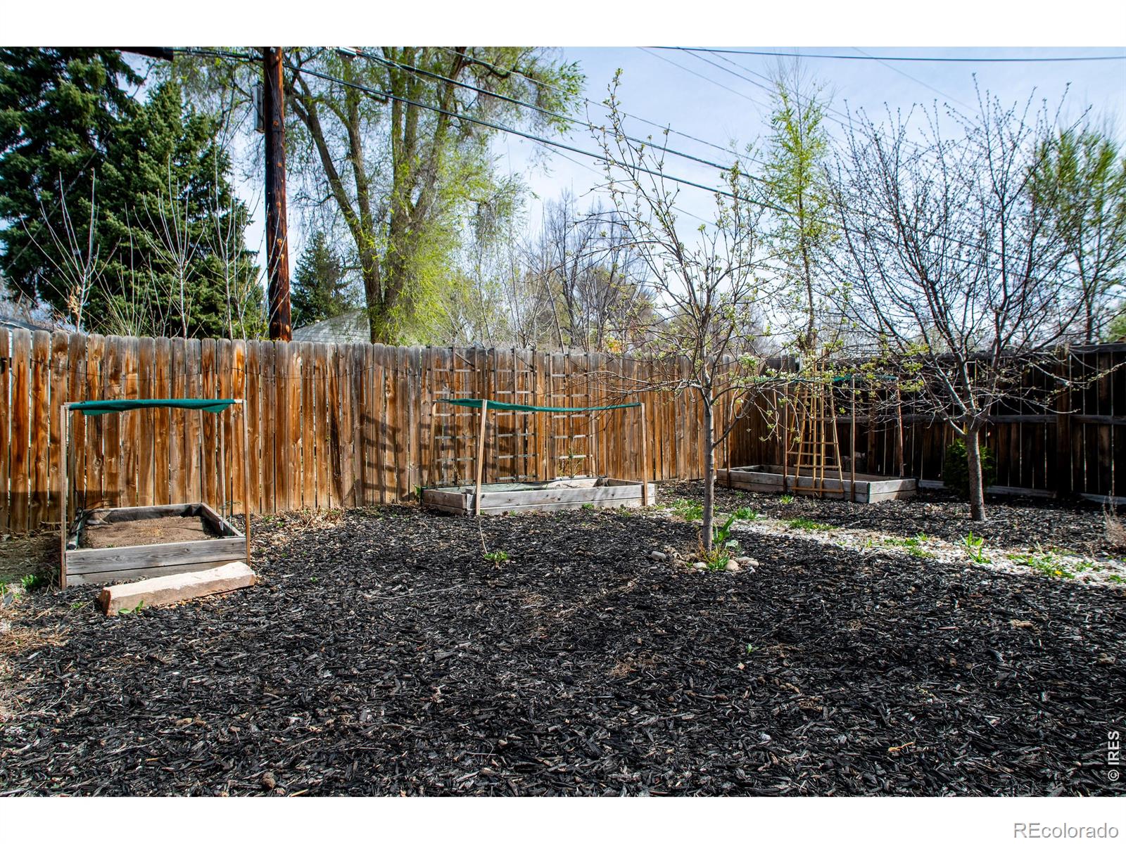 128 E 5th Avenue Longmont CO 80504