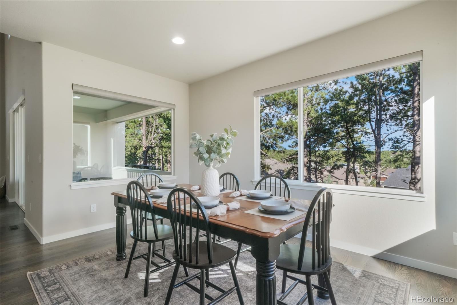 16267 Thunder Cat Way Monument CO 80132