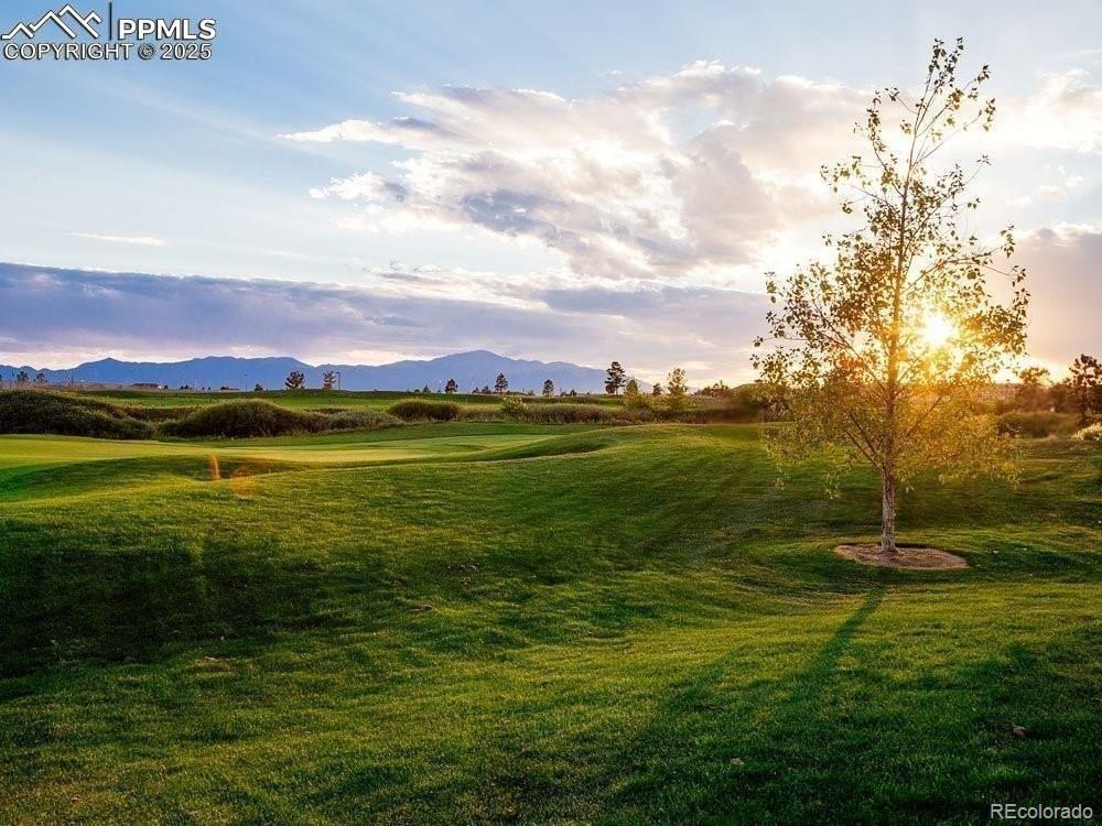 12980 Stone Valley Drive Peyton CO 80831