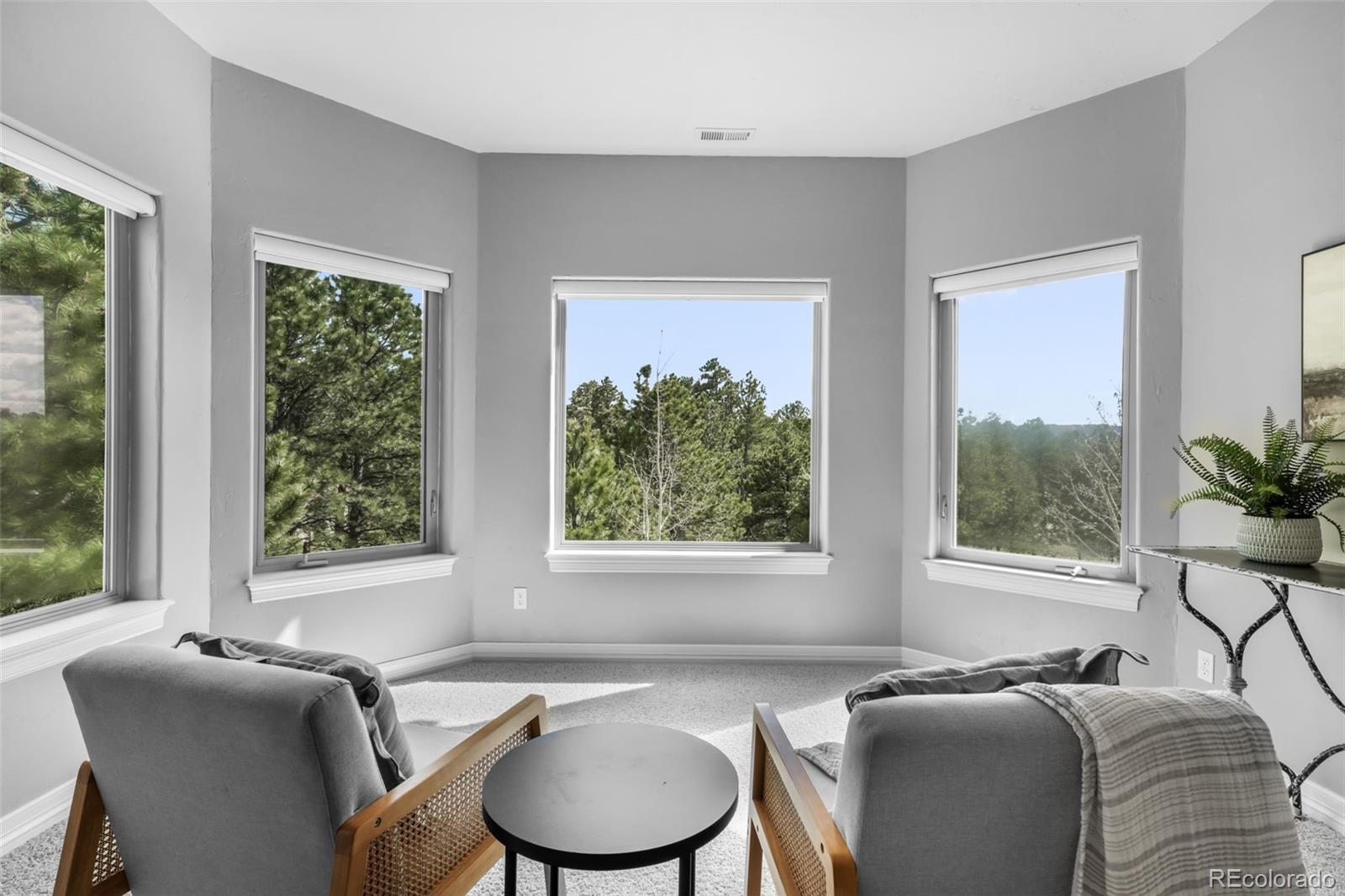 450 E Stirrup Trail Monument CO 80132