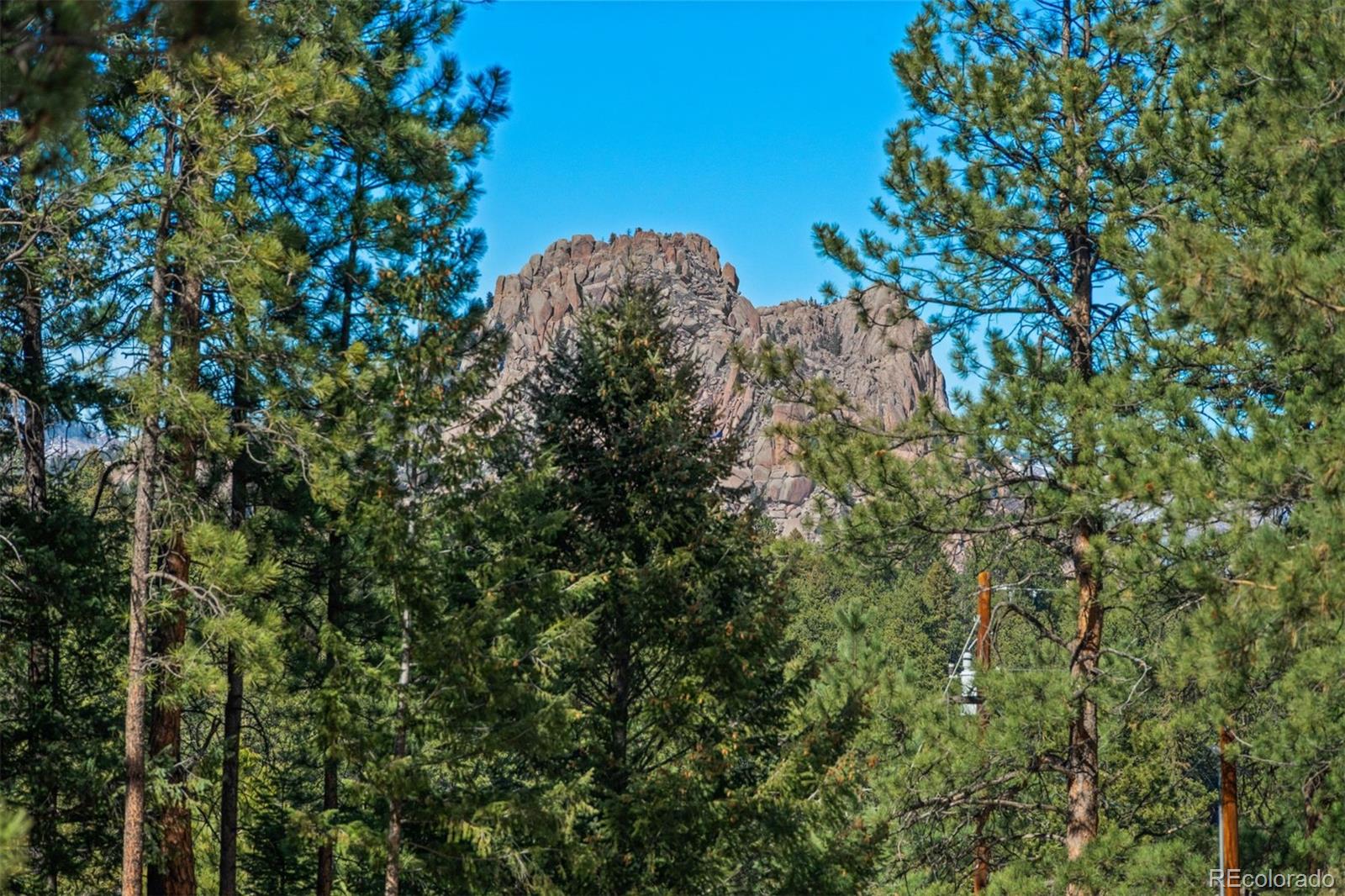 20202 Spring Creek Trail Pine CO 80470